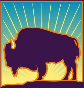 Bison