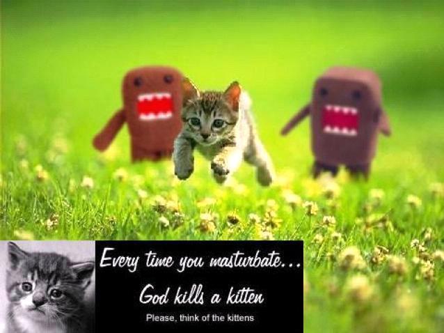 Save the kittens
