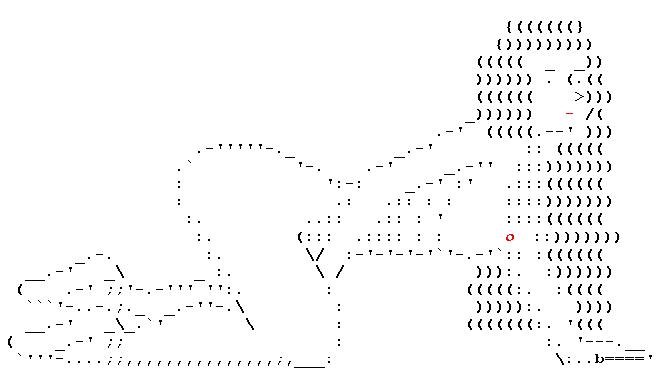 Ascii Art Pussy 37