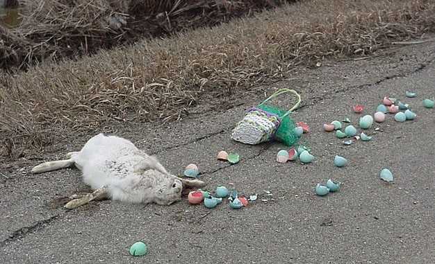 Easter Egg Hunt Canceled