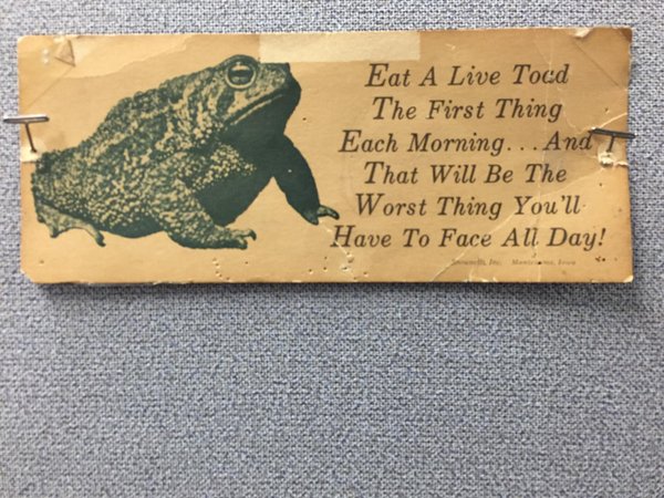 Well said… Have you had your live toad this morn…