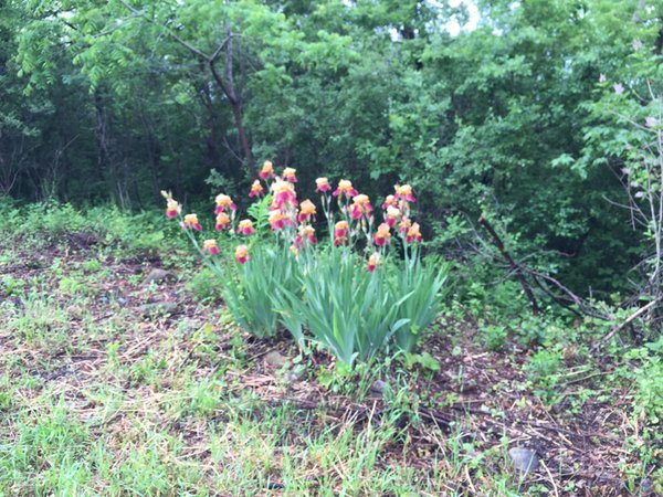 On the River road this morning between Prior Avenu…