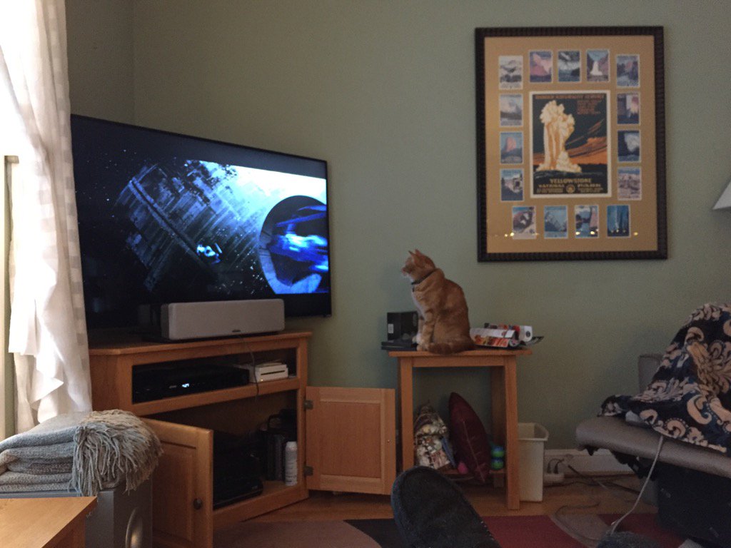 The cat who loves Star Wars. Peter watch…